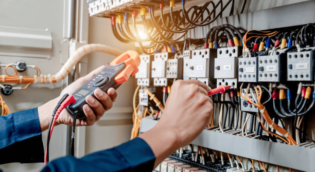 Best Electric Panel Repair  in La Vergne, TN
